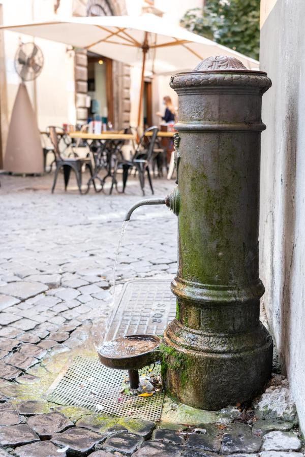 Guest House O Affittacamere Magenta Fico 2 Roma Eksteriør bilde